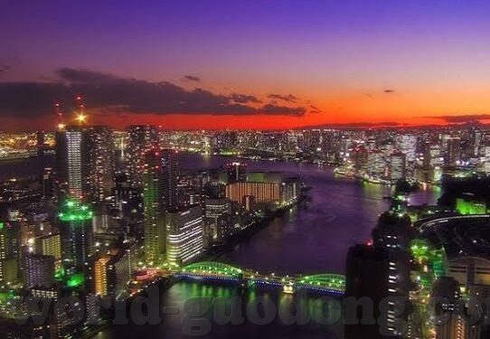 大象传媒污-大象传媒的多元视角，文化、艺术与创意的交融