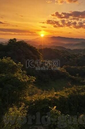 快播伦理电影-快播伦理电影，网络文化与道德边界的微妙交织