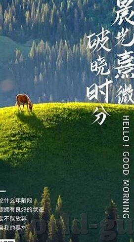 麻豆传媒怎么下载app-寻找麻豆传媒应用，多面向的探索与对比