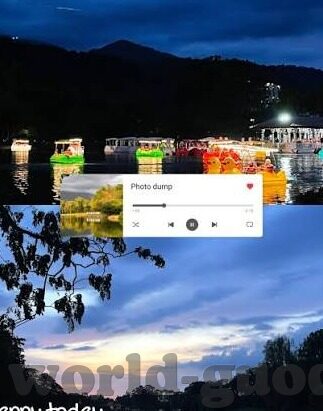 麻豆经济模特app-麻豆经济时代的网红摇篮，解析麻豆经济模特App的崛起与影响