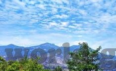 免费成人视频网址-探索成人娱乐的边界，免费成人视频资源探索指南