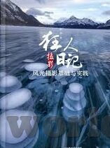 日本中文字幕一区-探索日本文化与艺术，中文字幕一区的独特视角
