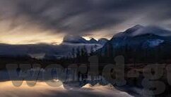 色干人妻-探索人妻的色彩与坚韧——生活中的另一番风景