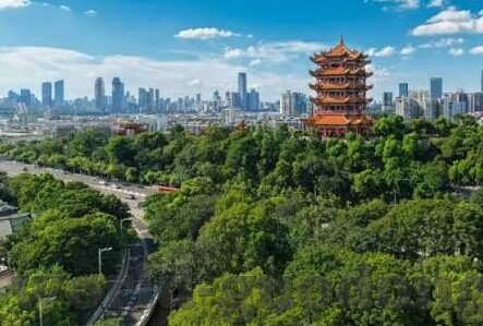 糖心app收费-解锁糖心app的收费优势，从细节到体验的全面剖析