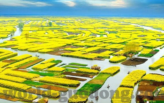 糖心直播视频APP-糖心直播视频APP——窥探数字时代下的内容消费新趋势
