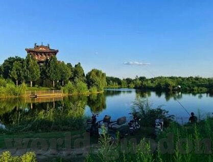 亚洲精品人妻视频-亚洲文化之美，品味人妻角色的细腻情感与家庭温情