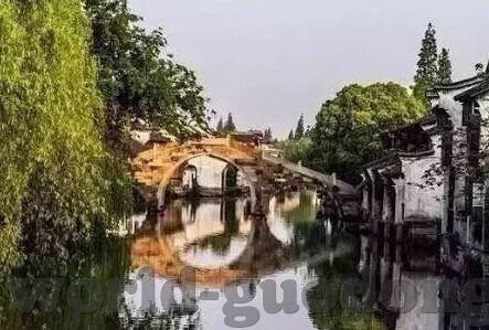 中国成人免费视频-中国成人教育新视角，网络视频资源在成人学习中的潜力